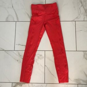 Fast N Free in Coral